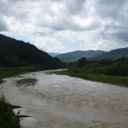лелека *